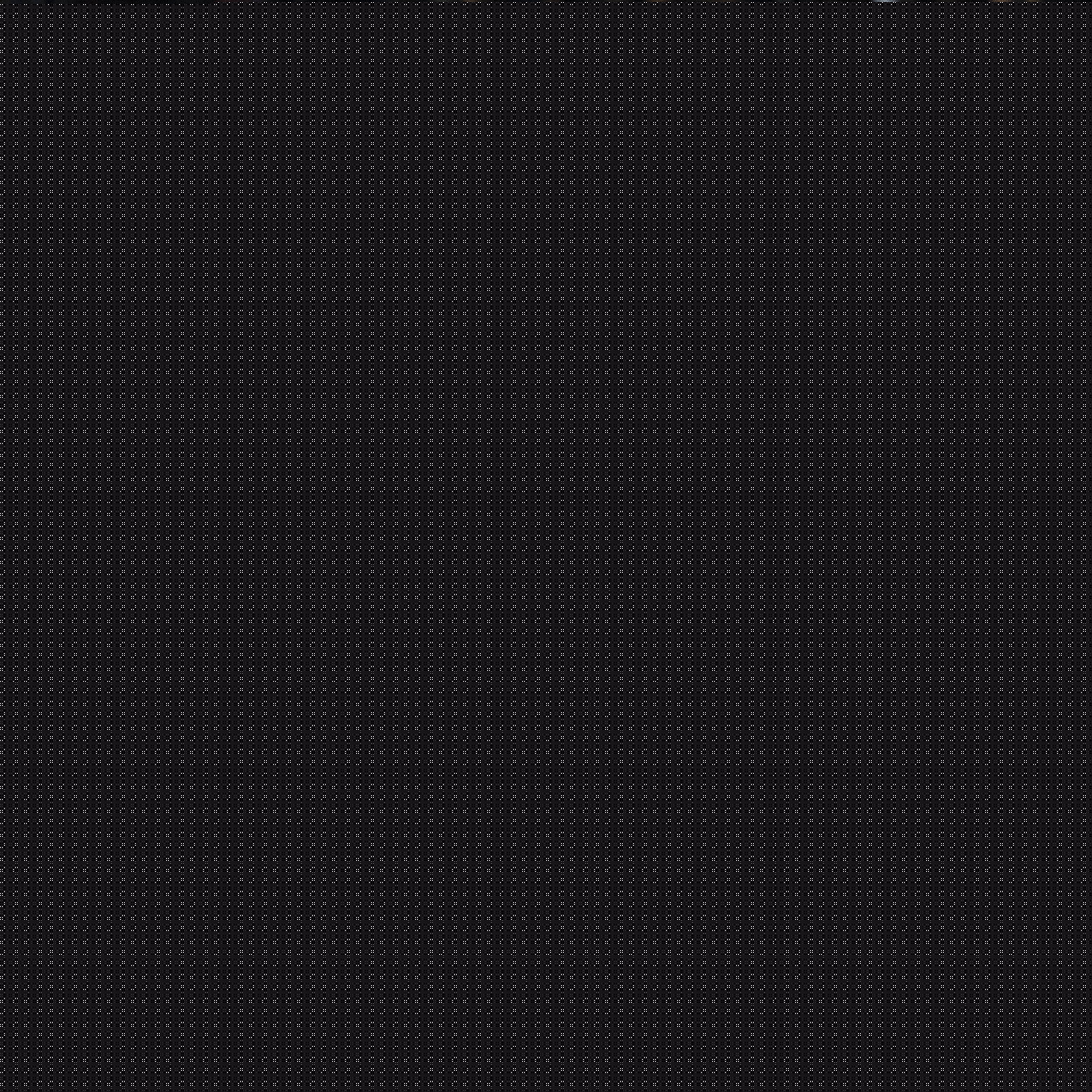 他们的表现